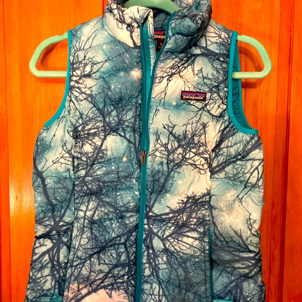 Patagonia youth down vest